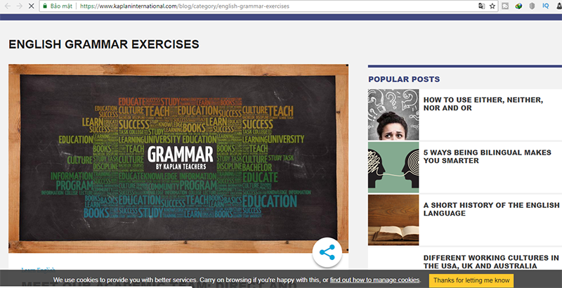 English grammar exercises by Kaplan
