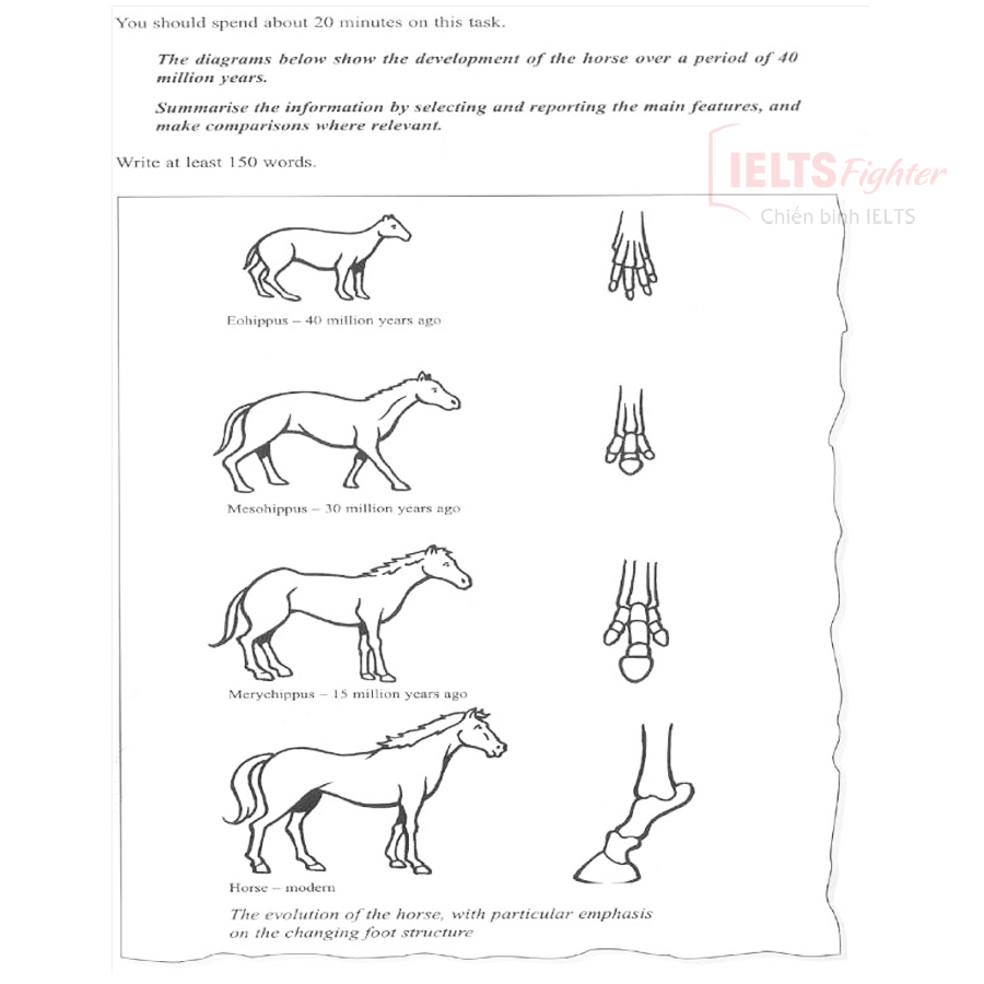 writing horse diagram topic