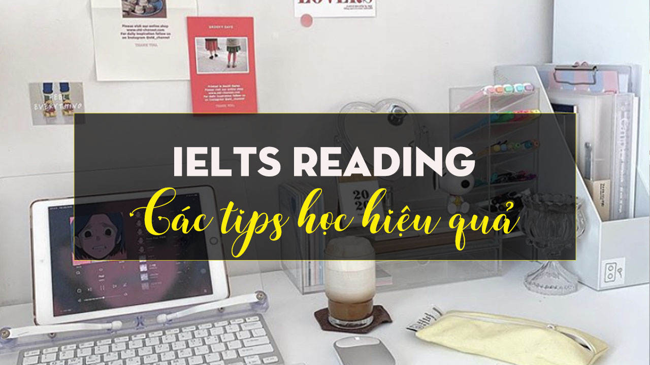 Những tips tự học IELTS Reading hiệu quả tại nhà