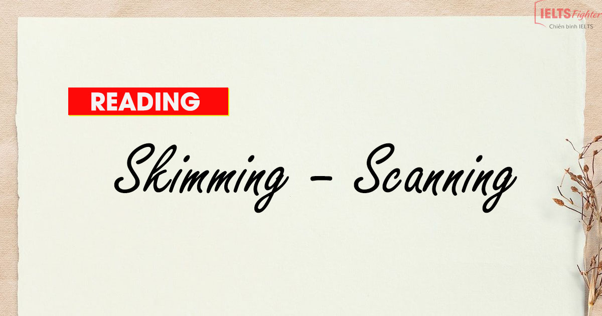 Unit 24: Luyện tập kỹ năng Skimming – Scanning dạng bài Multiple Choice